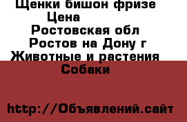 Щенки бишон фризе › Цена ­ 22 000 - Ростовская обл., Ростов-на-Дону г. Животные и растения » Собаки   